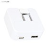 Gourmandies Chiikawa CK-03G USB to USB Type-C AC Adapter Used