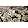 Loftin Oysters Ceramic Reusable Chargrilling, Cooking Oyster Shells, set of