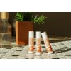 True Moringa Lip Balm - Intense Hydration & Relief for