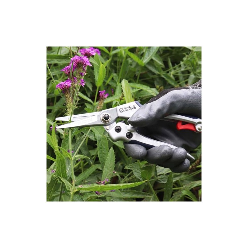 Spear & Jackson 56522 Epinette frottantes Blade 17 cm