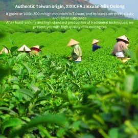 XIXICHA Milk Oolong Tea Loose Leaf Jin Xuan Milk Oolong Tea Taiwan Tea Taiwan Oolong Tea High Mountain Taiwan Gaoshan Ulong Tea Taiwanese Natural Milk and Creamy Aroma,Taste 5.3oz/150g 台湾茶 奶香乌龙茶 茶叶