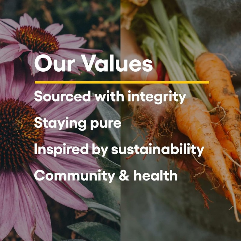 Natural Factors DGL Chewable - Digestive Support Supplement with Licorice