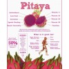 Cactus 100 Red Dragon Fruit Seeds Pitaya Pitahaya Hylocereus Undatus