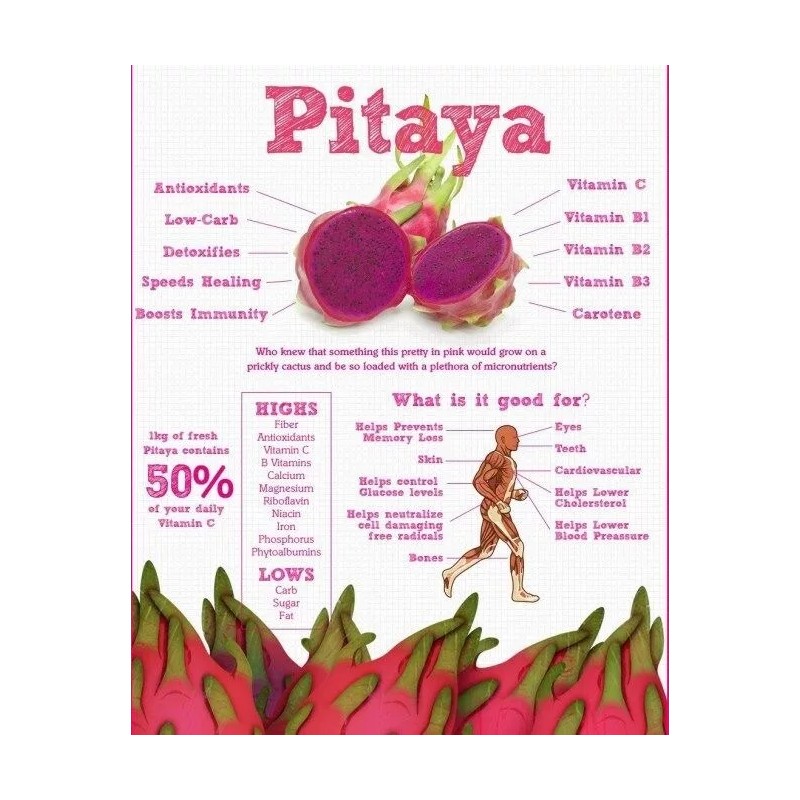 Cactus 100 Red Dragon Fruit Seeds Pitaya Pitahaya Hylocereus Undatus
