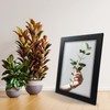 Modern 10x10 Frame Black - Square Picture Frames With Safe
