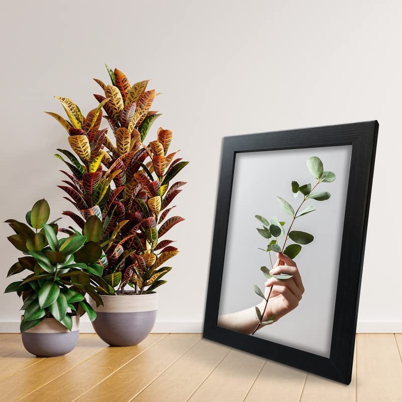 Modern 10x10 Frame Black - Square Picture Frames With Safe