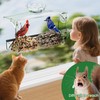TC-DCDM Window Bird Feeder for Outdoors-Clear Acrylic Window Bird Feeders