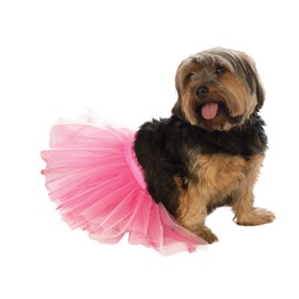 Rubie's Pet Tutu, Medium to Large