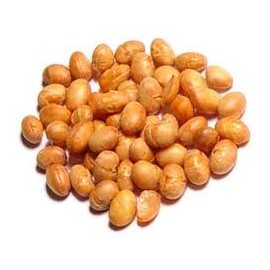 Soy Nuts Roasted Unsalted, 10 Lb