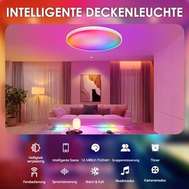 Birnetek Birnetek? Deckenlampe LED 30W, RGB Deckenleuchte Rund 2700K-6500K, Dimmbar, Kompatibel mit Alexa, APP-Steuerung, Fernbedienung, fr Schlafzimmer, Wohnzimmer, Kinderzimmer