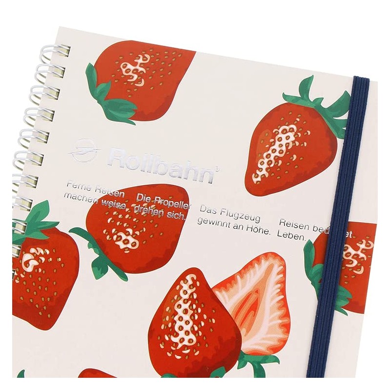 Delphonics Rolburn Notebook with Pocket, Large Hakata Limited Edition (Amaou