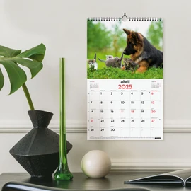 Finocam - Calendar Pictures of Spiral Wall to Write 2025 Month View January 2025 - December 2025 (12 months) Dogs and Cats Catalan