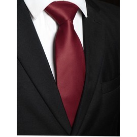 RBOCOTT Burgundy Tie Mens Necktie for Business and Wedding Party(3)