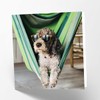 Maturi Blank Greetings Card with Relaxing Dog Image, 441229, Multi