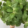 3Pcs Mint Leaves Artificial Greenery Stem 21.6In Green Fake Leaves