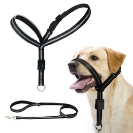 BARKLESS Dog Head Collar, Reflective Head Halter for Small Medium Large Dogs with Soft Padding, No Pull Dog Mouth Harness with Training Leash, Adjustable Muzzle Leash for Gentle Walking (Black, M)