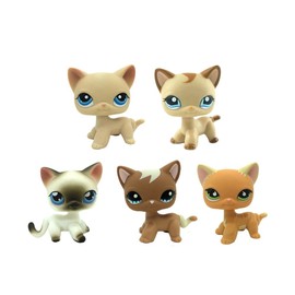 5pcs Mini Pet Kitty Cat #5#525#228#1024#1170 Rare Short Hair Cat Action Figures Kids Boy Girl Toys