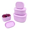 Anatole Silicone Food Storage Containers 4 Pcs Lunch Bento Box