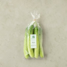 백오이 (5입/봉) White Oyster Mushrooms (5 per pack)