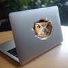 Owl Hole Wall Decal – 3D Forest Bird Sticker –