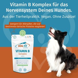 DOG FIT by PreThis® Vitamin B Complex for Dogs I Nervous System, Incontinence, Spondylosis, Tremors, Strengthening I B Vitamins with Biotin & Folic Acid I Vegan without Additives | Medium