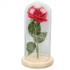 Rose in Glass Dome Lucky Beautiful Symbolism Romantic Enchanted Rose