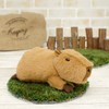 Sun Arrow K8576 Potte Series Capybara Plush Animal Toy