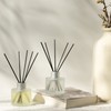 Brakula Eucalyptus & Mint Reed Diffuser Set, Home Fragrance Oil