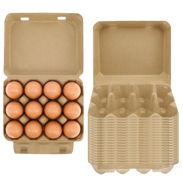 20 Pack Paper Pulp Egg Cartons, 3x4 Style Empty 12