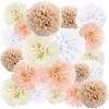 EpiqueOne Pom Poms Decoration, White/Ivory/Pe