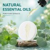 30 Pack Shower Steamers Aromatherapy, Eucalyptus Mint Shower Bombs for