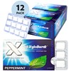 XyloBurst Gum | Xylitol Chewing Gum | Sugar Free, Gluten