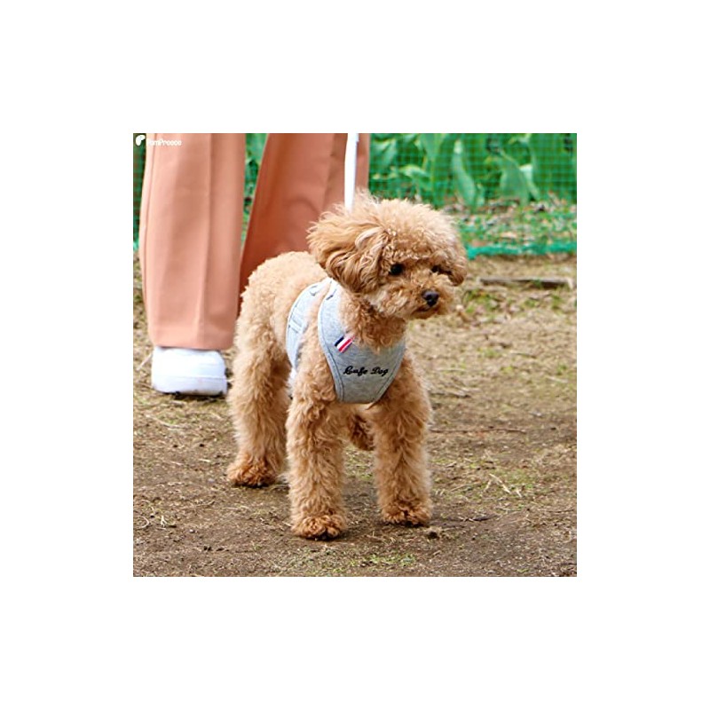 Pompolice Long Run Harness, Pet Products Professional Manufacturer Pompolice