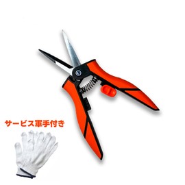 YARD FORCE YFSGS-01 Mini Branch Cutting Scissors with Safety Lock Function + "Work Gloves Included) Pruning Shears, Gardening Scissors, Tapered Blades, Gardening Shears, Crispy, Easy to Grip, Compact,