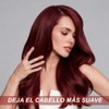 Champú para teñir el cabello, protector natural para teñir el