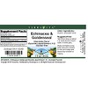 Echinacea & Goldenseal Glycerite Liquid Extract (1:5) - Chocolate Flavored