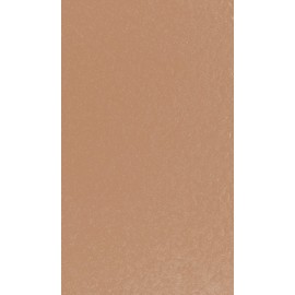 Rust-Oleum 340468 Tint Truck Bed Coating, 6 Fl Oz (Pack of 1), Tan