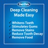 DenTek Premium Kit de cuidado oral