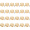 Brightown 24 Pack Fairy Lights Battery Operated - 7Ft 20