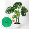 HINZIC 1 Roll Green Plant Tape 16.4 Ft × 0.57