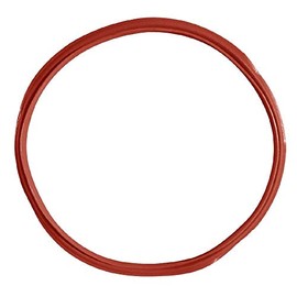 Buffalo Boiler Gasket for GF539 CN219