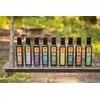 Texana Brand Cajun Heat Infused Olive Oil, Cold Pressed, Unfiltered,