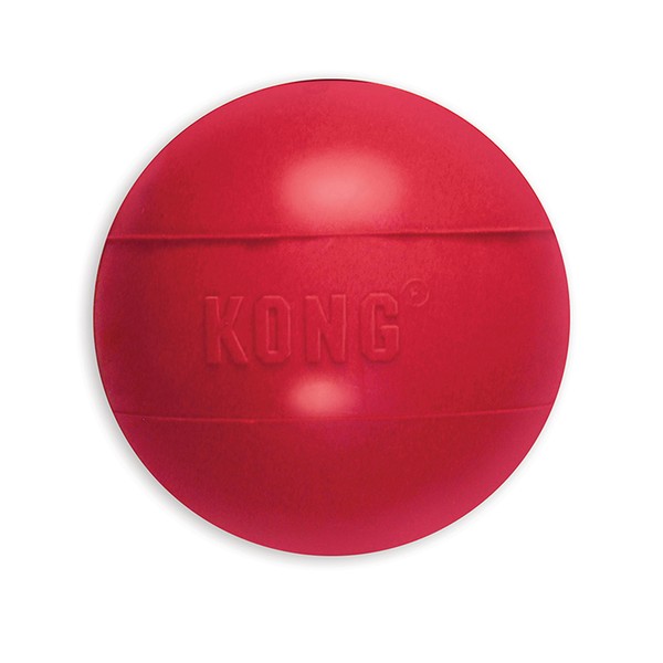 KONG - Ball with Hole - Durable Rubber, Fetch Toy