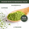 Harmony Matcha Strawberry – Premium Japanese Matcha Powder, Shade-Grown &