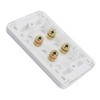 Selby 2.0 Speaker Wall Plate Wallplate Premium Pre-Assembled for 2