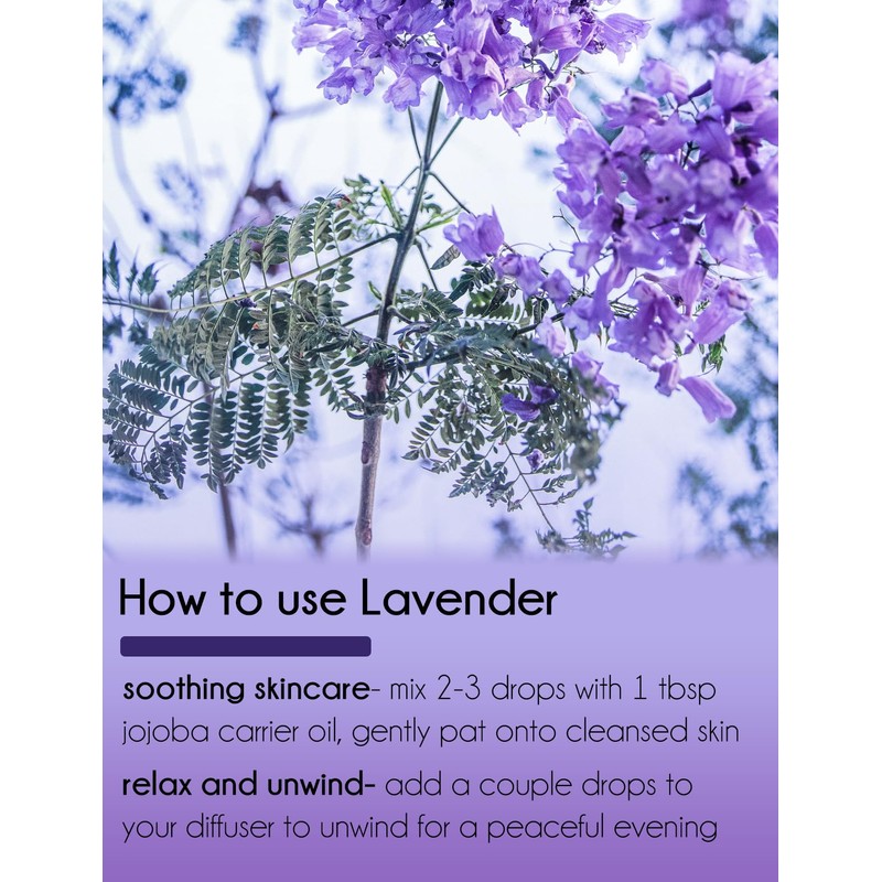 Lavender 40-42 – 1/3 fl oz (10 ml) Glass Bottle