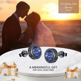 Viking Stud Earrings 925 Sterling Silver Viking Celtic Stud Earrings Viking Rune Abalone Shell / Turquoise / Onyx / Lapis Lazuli Stud Earrings Black Stud Earrings for Men Women Unisex, Sterling