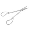 Bonsai Scissors Stainless Steel Leaf Sprout Shears with Long Handle