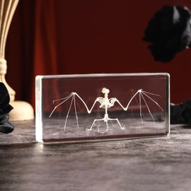 Real Bat Skeleton Specimen in Resin for Science Classroom Science Education Great Gift for Fans of Taxidermy, Animal Skull, Biology, Oddities(5.5x2.5x0.7 Inch)