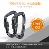 Brotree Carabiner, Locking Carabiner, 266.5 lbs (1200 kg), For Hammocks